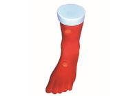 Simulação clínica do modelo do edema da picada do pé do PVC para o treinamento de nutrição