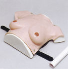Peito fêmea do tamanho do modreate do simulador do hospital da parte superior do corpo para o exame do tumor do peito
