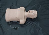Meios manequim adultos dos socorros do CPR primeiro da intubação do corpo