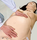 Treinamento de ensino simulador Neonatal materno do nascimento da criança do PVC