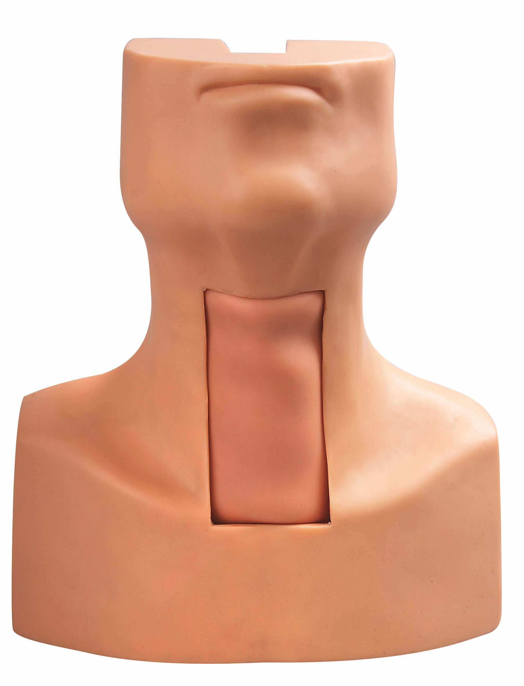 Modelo da intubação da punctura do Tracheostomy com pele simulada da traqueia e do pescoço para treinar