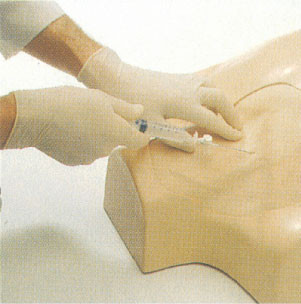 IV simulação clínica jugular, treinamento do torso da punctura da veia subclavian, femoral para o colega