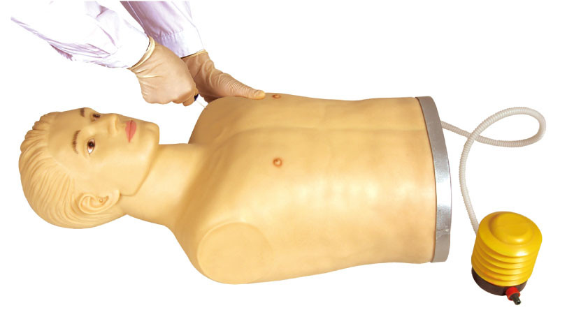 O manequim do treinamento de simulador do pneumothorax do fornecedor do FNUP com CE aprovou