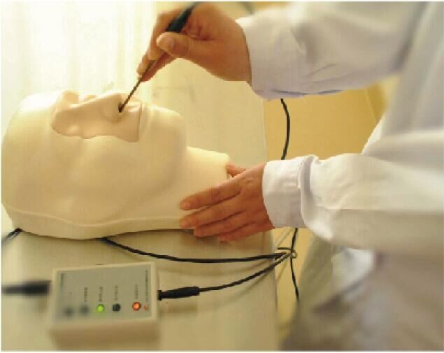 Faculdade, hospital que aprende o modelo de treinamento nasal da hemorragia das simulações