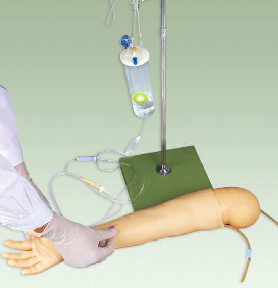 Treinamento pediatra avançado de Veinpuncture da simulação do manequim/braço da simulação