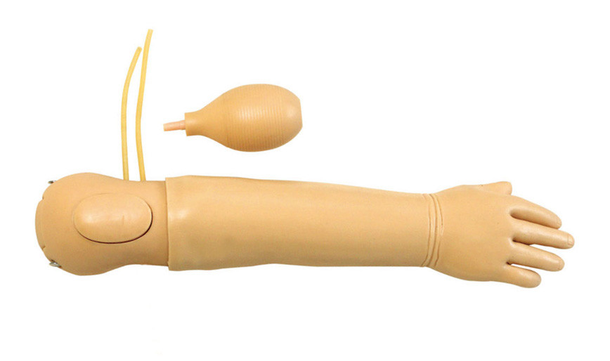 Simulador do braço da criança com o marcador Osteal óbvio da identificação para o treinamento arterial da injeção