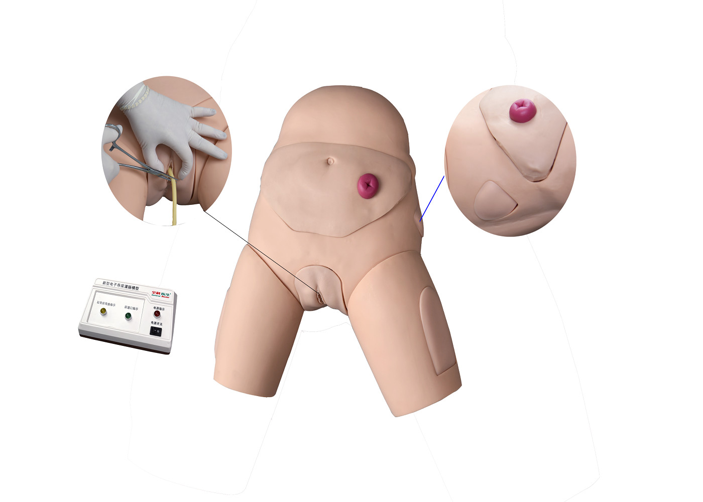 Simulador Urethral eletrônico do treinamento do cateterismo e do enema