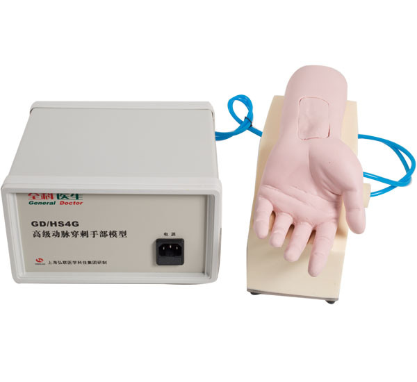 Manequim dos cuidados da mão da punctura da artéria do PVC para a aprendizagem médica