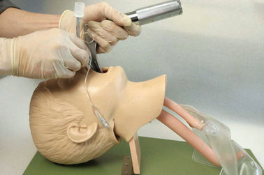 Estrutura anatômica realística com boca das crianças, faringe, Tracheafor para o treinamento da intubação