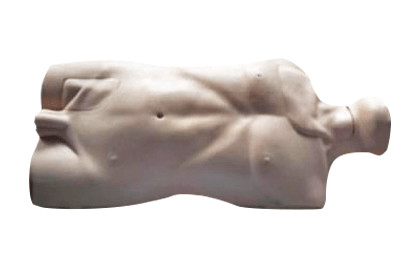 Modelo clínico With Anatomical Position da punctura da artéria femoral da simulação do PVC