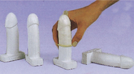 Ferramenta masculina vivo do treinamento do preservativo de Simulator 12pcs do modelo do pênis