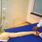 Completamente - braço funcional para a faculdade de nutrição, braço do treinamento do venipuncture da prática do iv