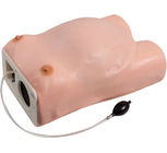 Simulador ginecológica do exame da maternidade do PVC do hospital
