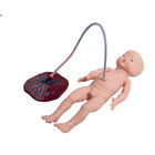 Simulador do nascimento do bebê do treinamento do PVC do GV com cabo de cordão umbilical