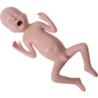 Manequim pediatra da simulação do bebê prematuro com palpação