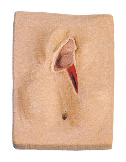 Treinamento suturando da vulva macia realística do simulador do nascimento da criança do PVC do toque