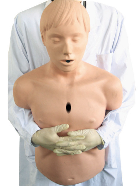 Meio - manequim da ressuscitação do modelo da via aérea do corpo/CPR para socorros do adulto de Heidegger primeiros