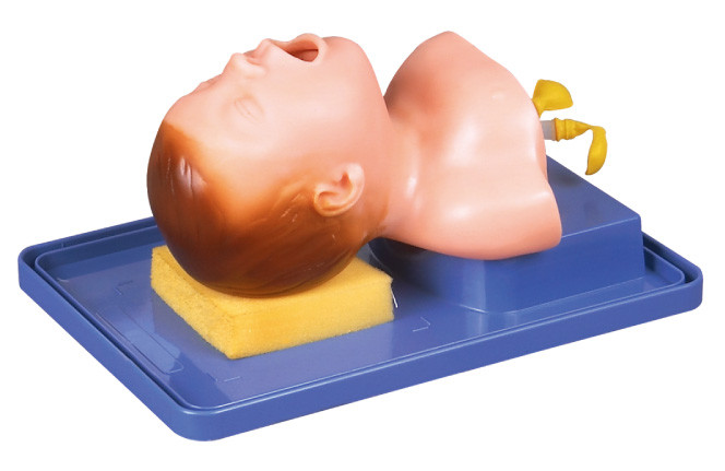 Neonate realístico com anatomia principal para o treinamento Tracheal da intubação