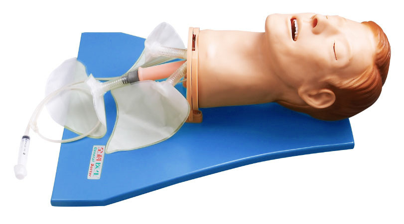Manequim do treinamento do simulador/via aérea do EMS para o treinamento do movimento respiratório do pulmão Observe