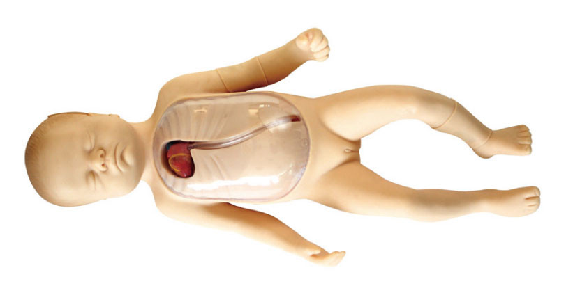 Manequim do Neonate com simulação central perifèrica introduzida da criança do cateter