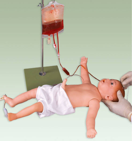 Modelo da injeção pediatra do manequim/bebê da simulação com os vasos sanguíneos e a pele venosos