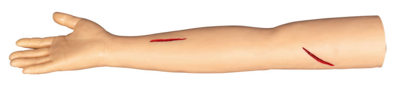 Suture modelos de treinamento cirúrgicos do braço para cortar e suturar no colleage, hospital