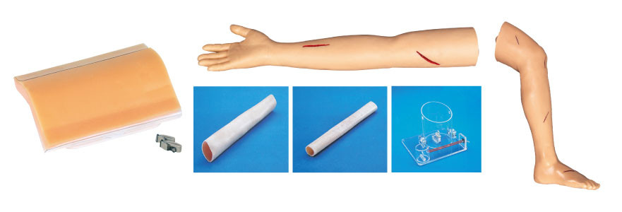 Modelos de treinamento cirúrgicos adultos do jogo do pé e do braço da sutura para a educação do estudante