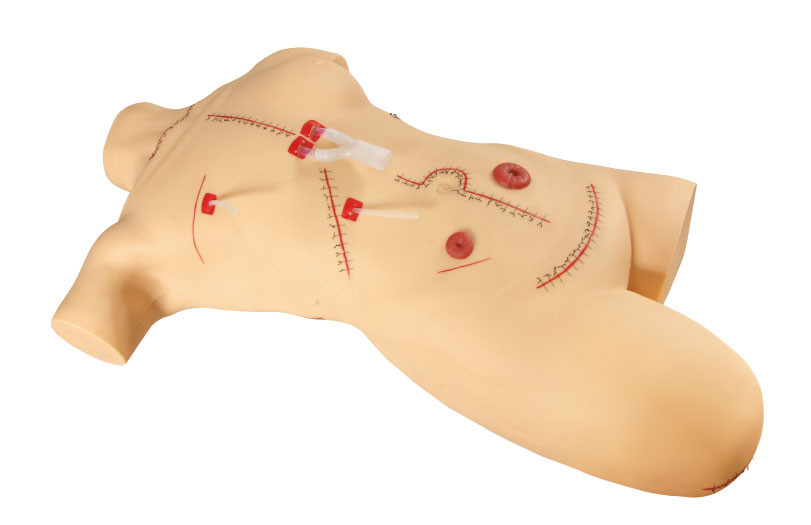 Corpo adulto com pé que sutura e que enfaixa simuladores cirúrgicos/simulação médica