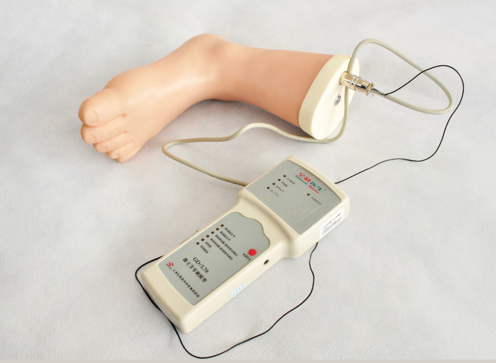 Ferramenta clínica do treinamento da simulação da injeção do tornozelo do pé da estrutura anatômica
