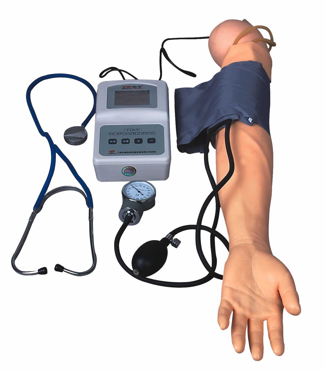 Braço da medida de BP com modelo da pressão sanguínea do exercício para faculdades médicas e escolas