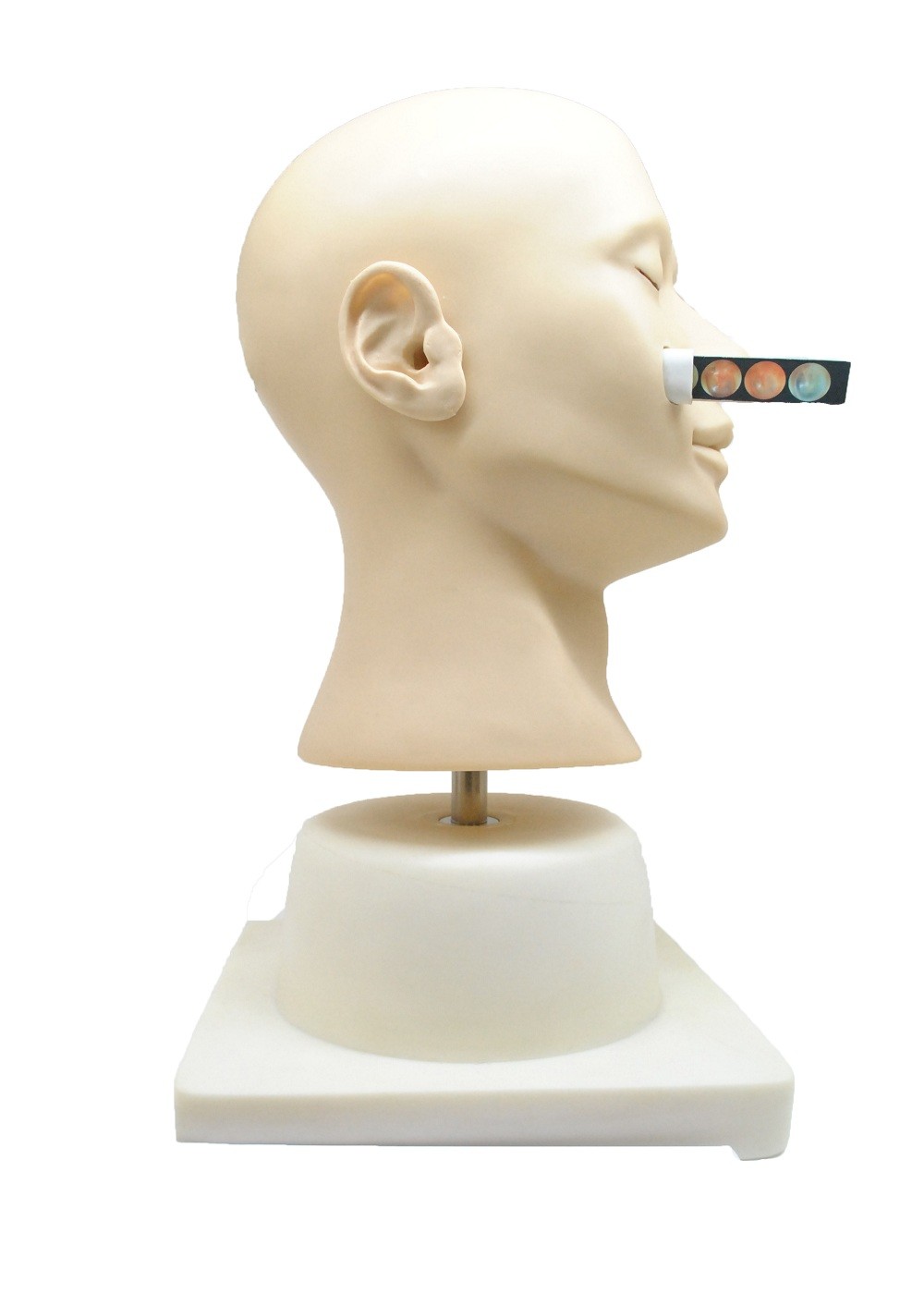 Boneca nasal do treinamento da hemorragia da simulação clínica avançada para a faculdade, hospital