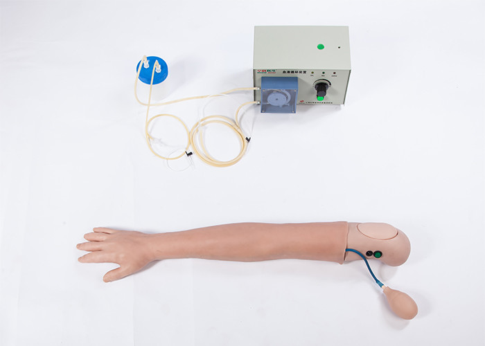 O PVC avançado simulou o modelo de treinamento humano do braço da hemodiálise
