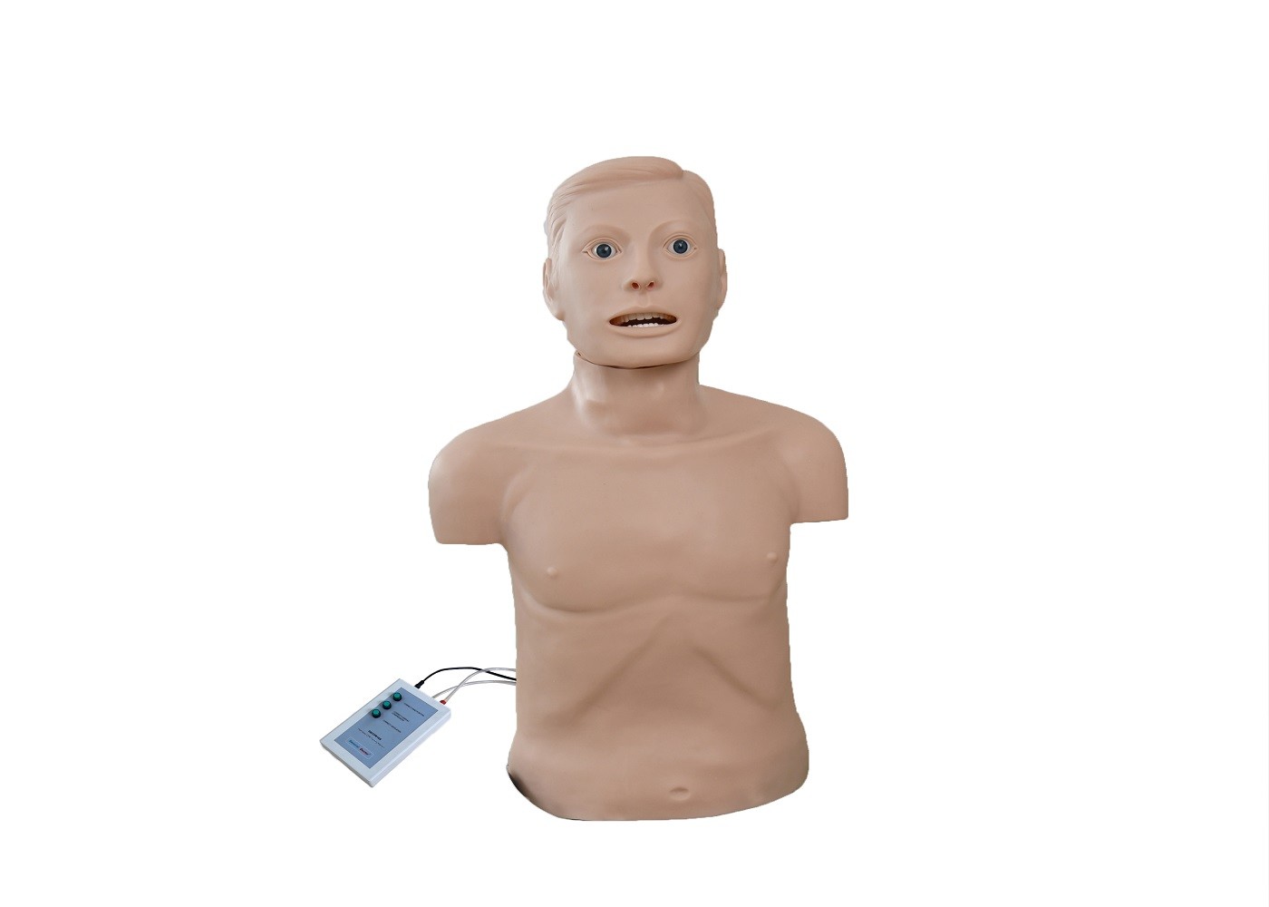 Meios manequim adultos dos socorros do CPR primeiro da intubação do corpo