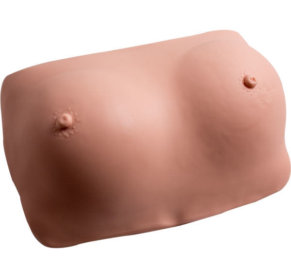 Do exame Wearable do peito do PVC simulador ginecológica