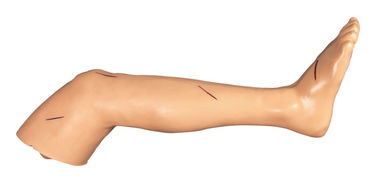 Suture o corte cirúrgico do treinamento de habilidades do pé e a boneca suturando do treinamento
