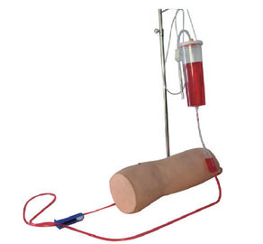 Braço da prática de GD/HS5G IV com o antebraço, o cotovelo e o vaso sanguíneo plásticos de borracha da infusão
