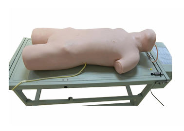 Simulação clínica vário Postions da punctura detalhada para a formação dos hospitais