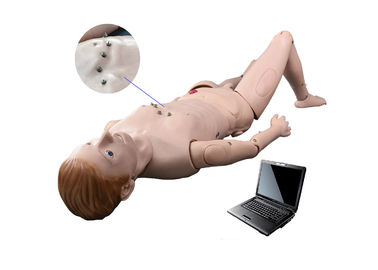 O manequim da simulação/auscultação do hospital com ECG simulou o sistema de ensino